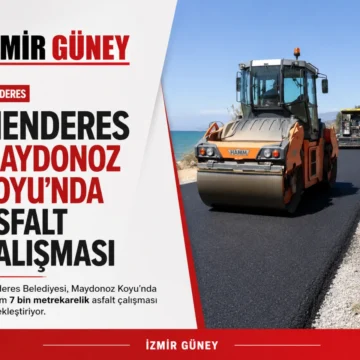 menderes maydonoz koyu